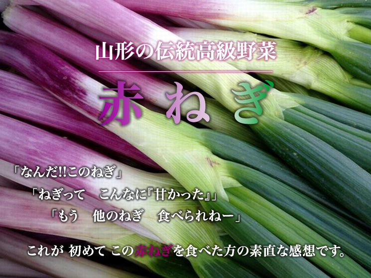 赤ネギ