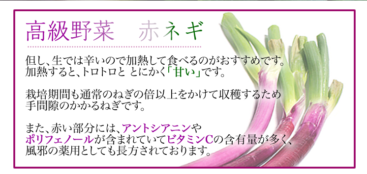 赤ネギ