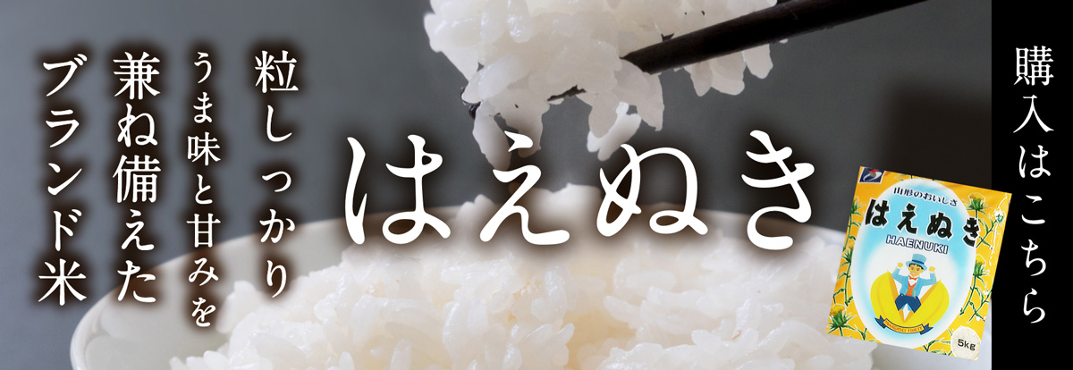 「はえぬき」の購入はこちら