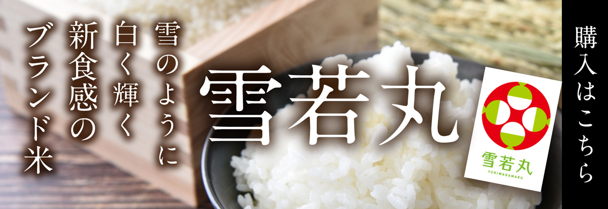 「雪若丸」の購入はこちら