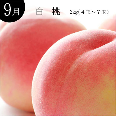 9月