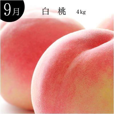 9月