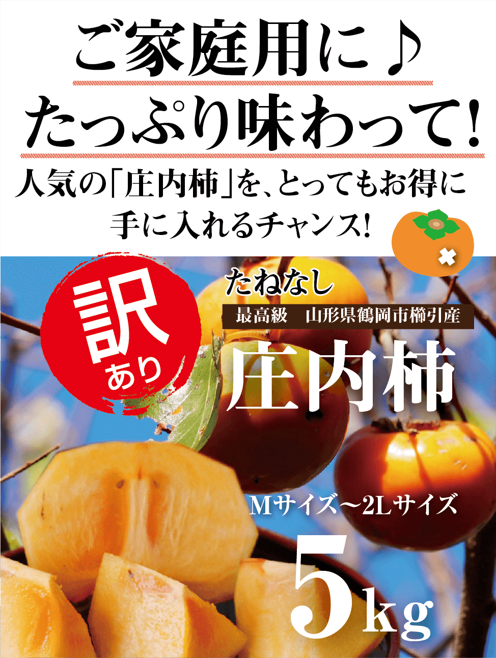 山形県鶴岡市櫛引産【訳あり種なし庄内柿】Mサイズ～2Lサイズ：５kg（25玉～40玉入り）