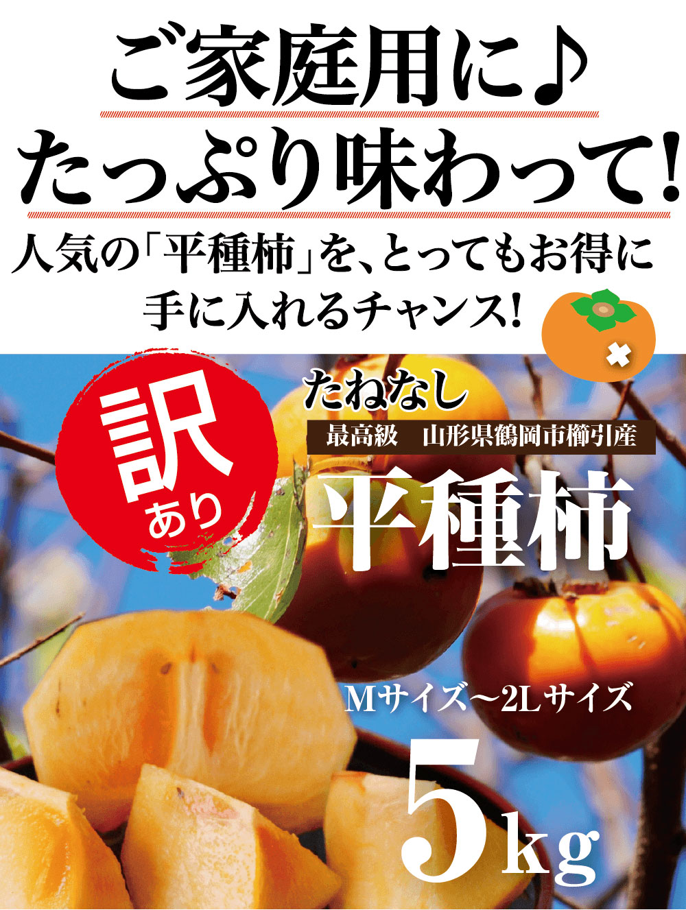 山形県産【訳あり種なし平種柿】Mサイズ～2Lサイズ：5kg（20玉～40玉