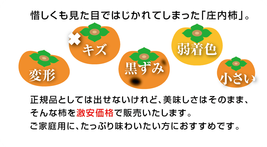 山形県鶴岡市櫛引産【訳あり種なし庄内柿】Mサイズ～2Lサイズ：５kg（25玉～40玉入り）