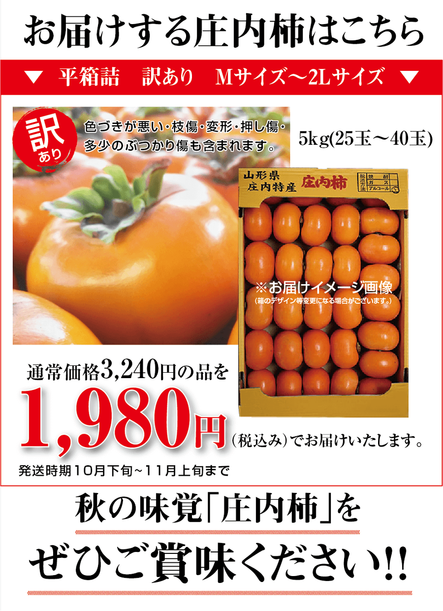山形県鶴岡市櫛引産【訳あり種なし庄内柿】Mサイズ～2Lサイズ：５kg（25玉～40玉入り）