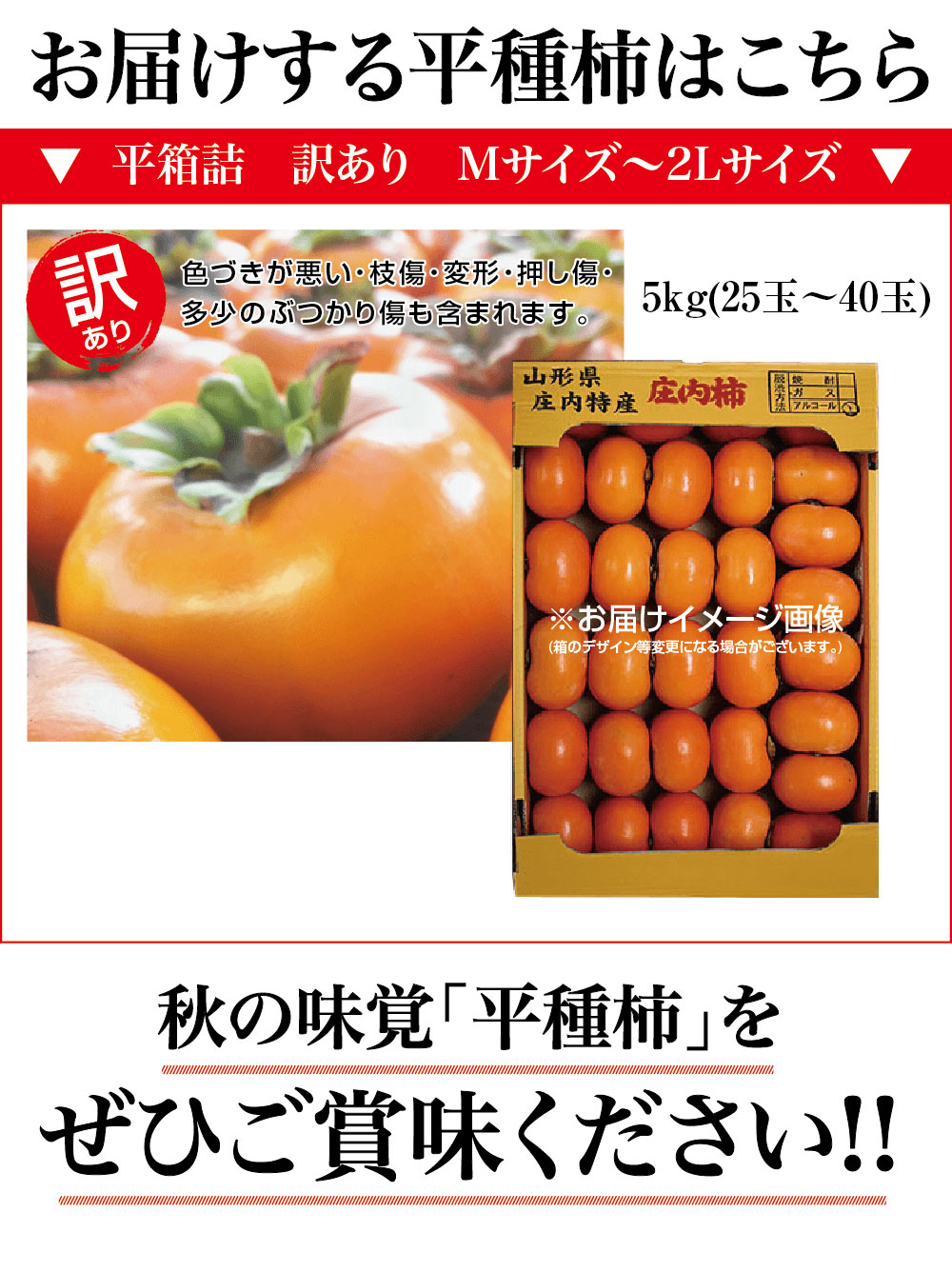 山形県産【訳あり種なし平種柿】Mサイズ～2Lサイズ：5kg（20玉～40玉