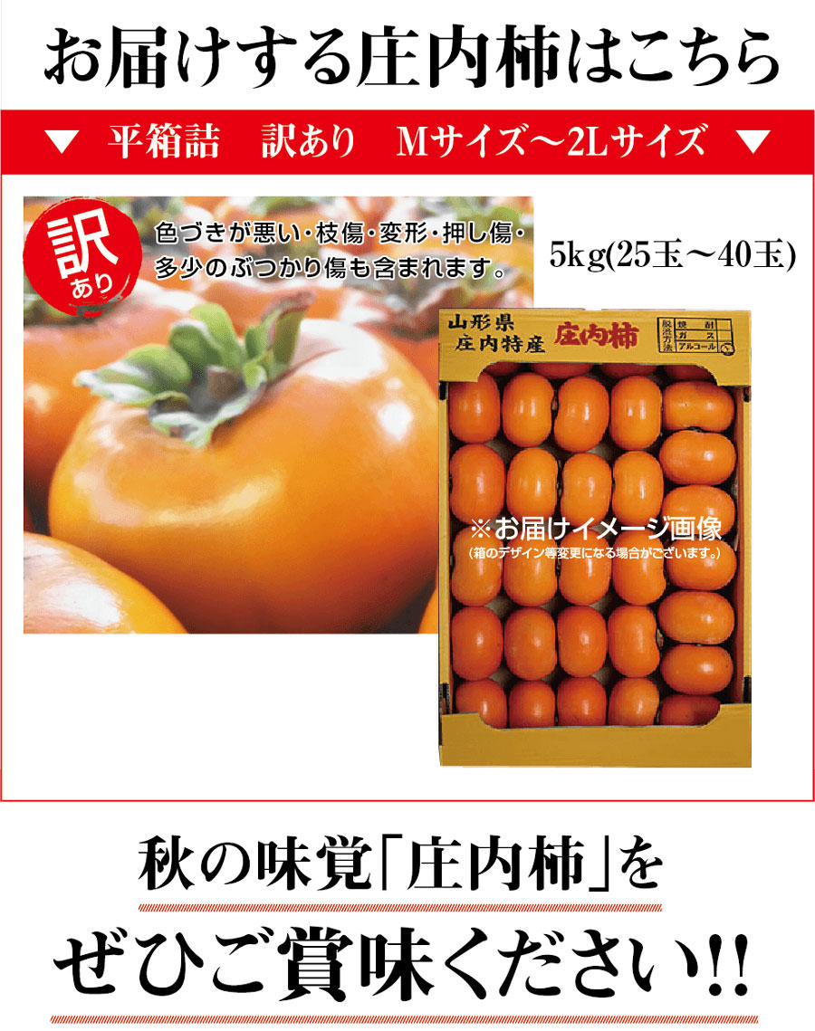庄内柿06