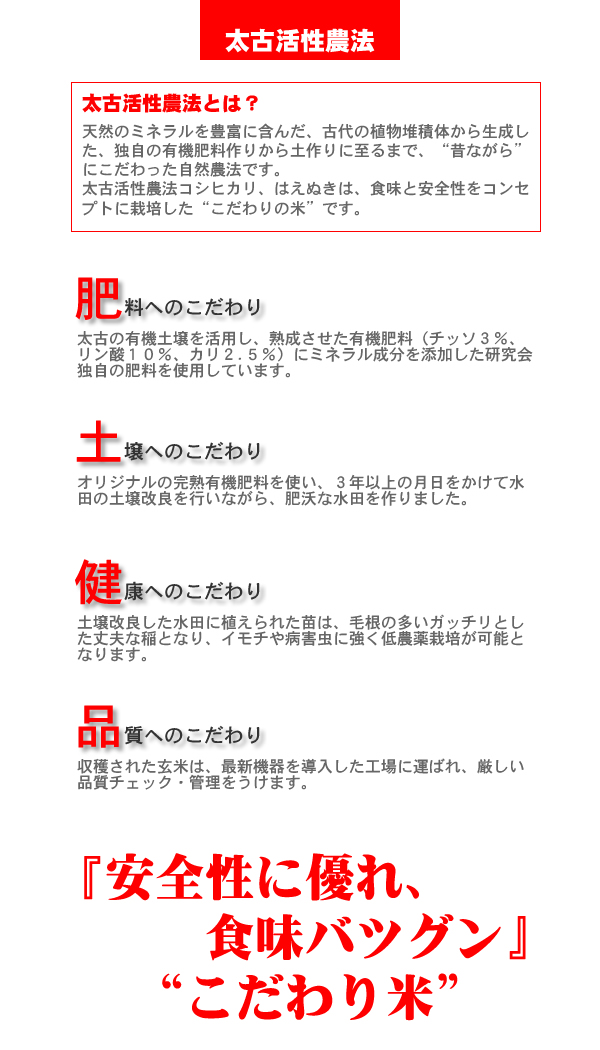 はえぬき02