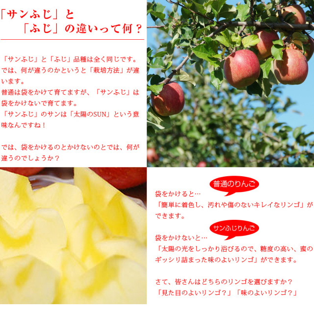 サンふじりんごメイン02
