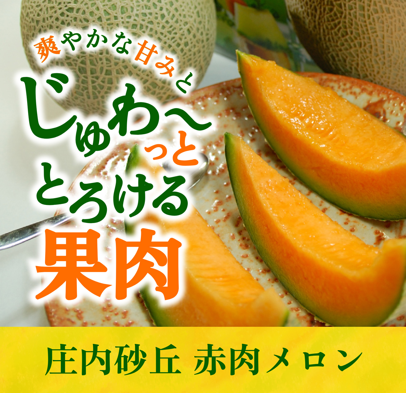 爽やかな甘みと、じゅわ〜っととろける果肉「庄内砂丘 赤肉メロン」