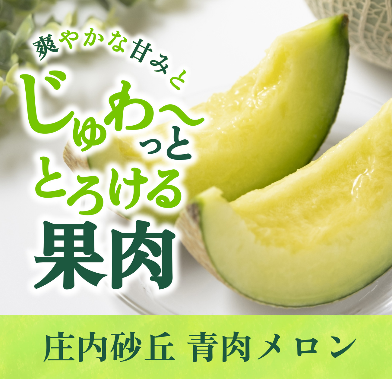 爽やかな甘みと、じゅわ〜っととろける果肉「庄内砂丘 青肉メロン」