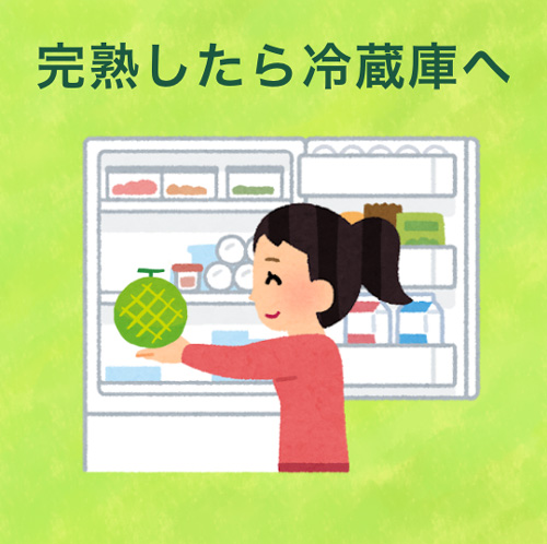 完熟したら冷蔵庫へ
