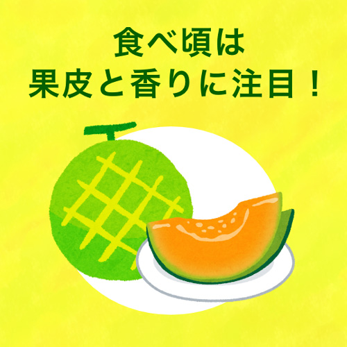 食べ頃は果皮と香りに注目!
