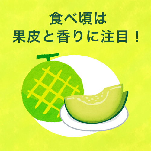 食べ頃は果皮と香りに注目!