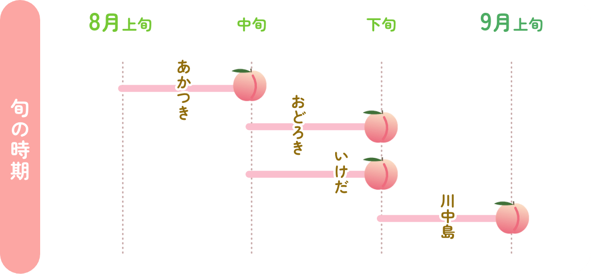 白桃の発送時期