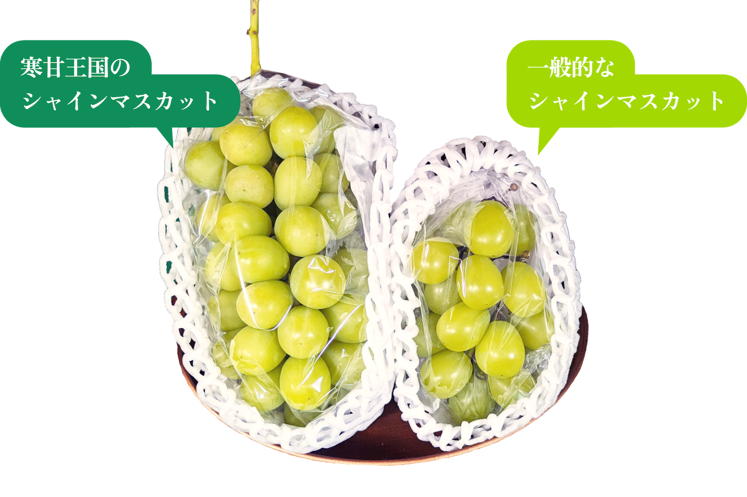 シャインマスカットの比較