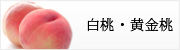 白桃・黄金桃