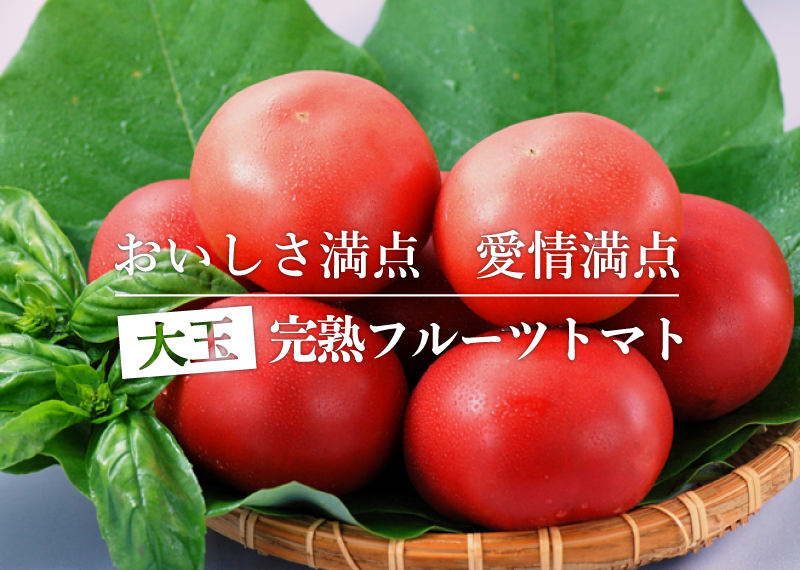 大玉トマトメイン