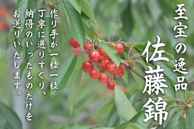 さくらんぼ004