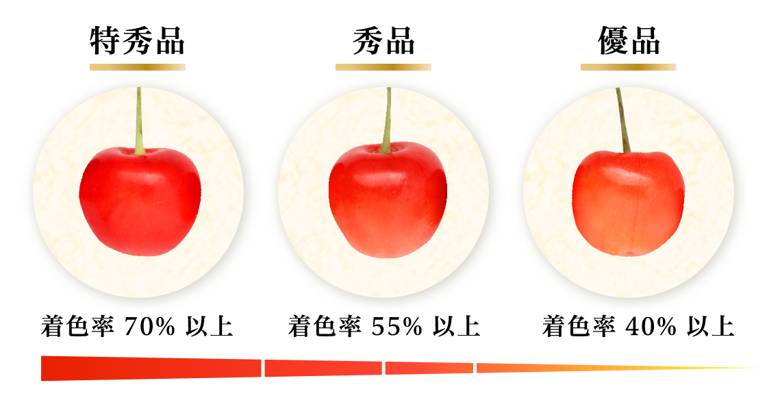 太陽のしずく 紅秀峰03