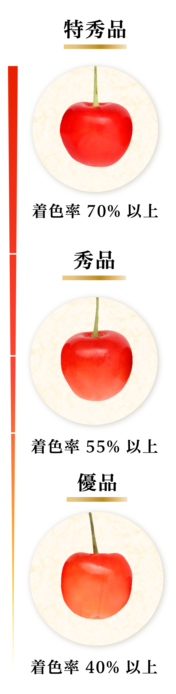 太陽のしずく 佐藤錦03