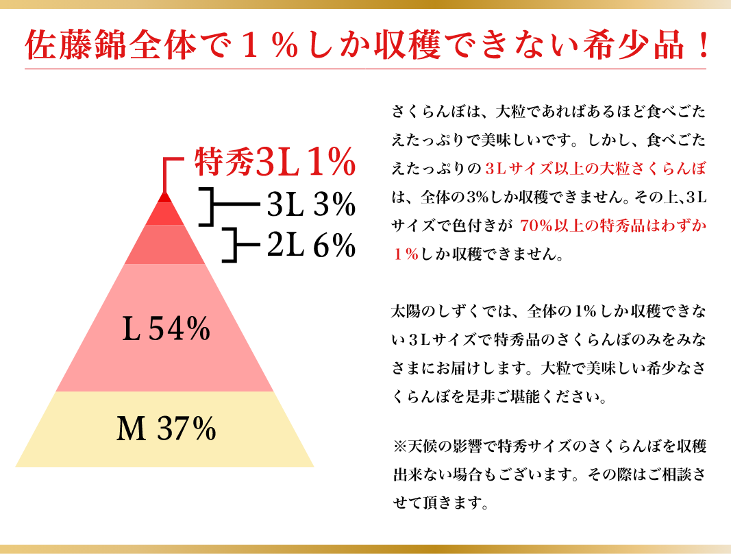 太陽のしずく 佐藤錦06