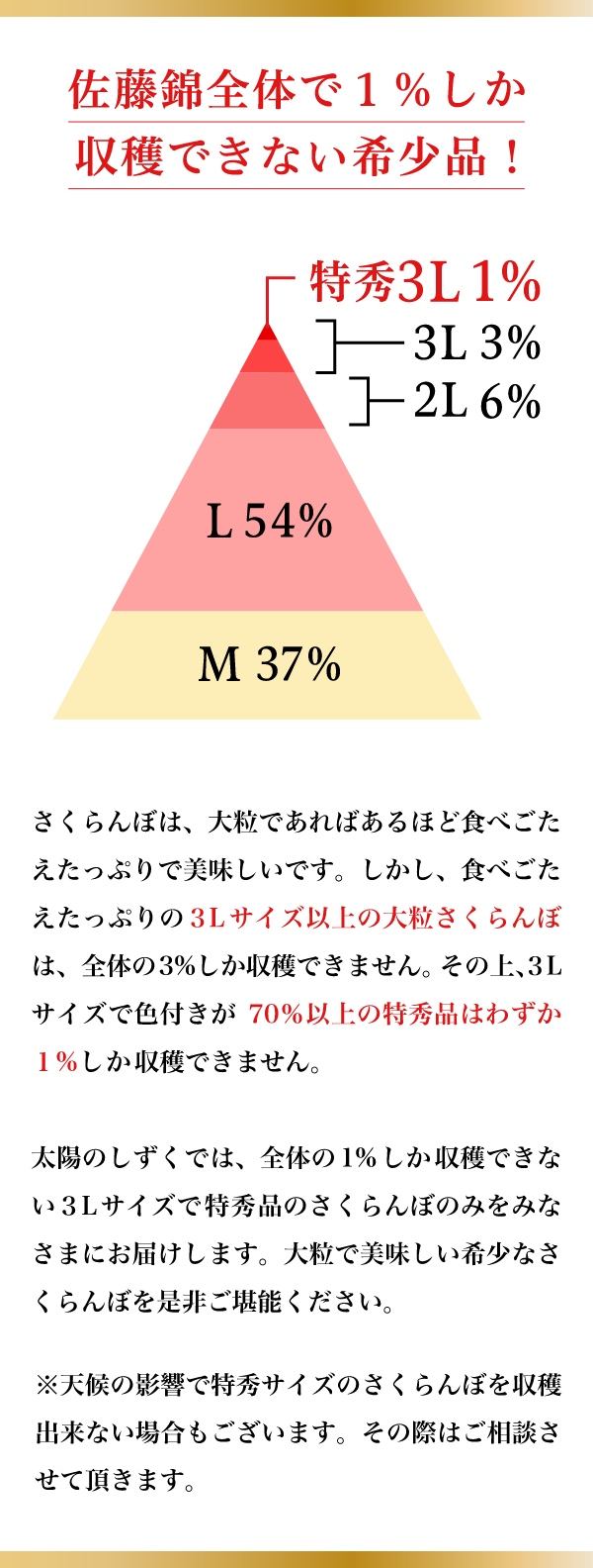 太陽のしずく 佐藤錦06