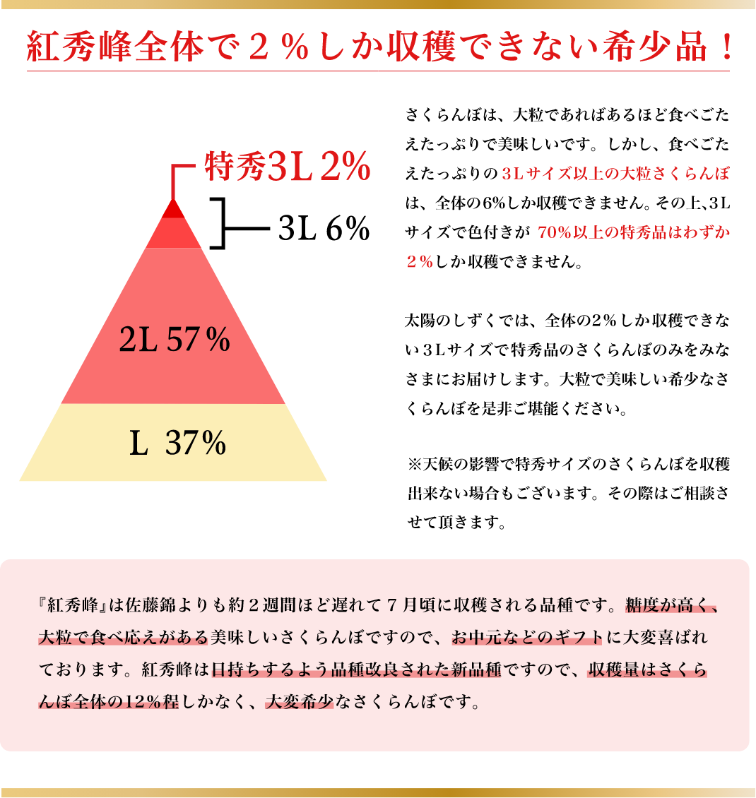 太陽のしずく 紅秀峰06