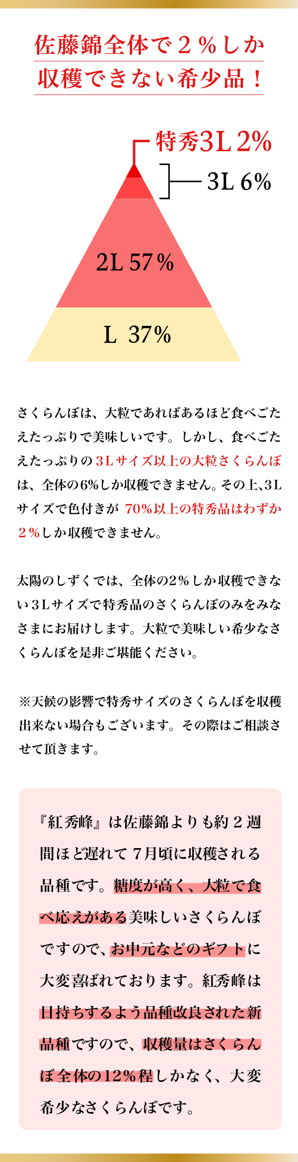 太陽のしずく 紅秀峰06