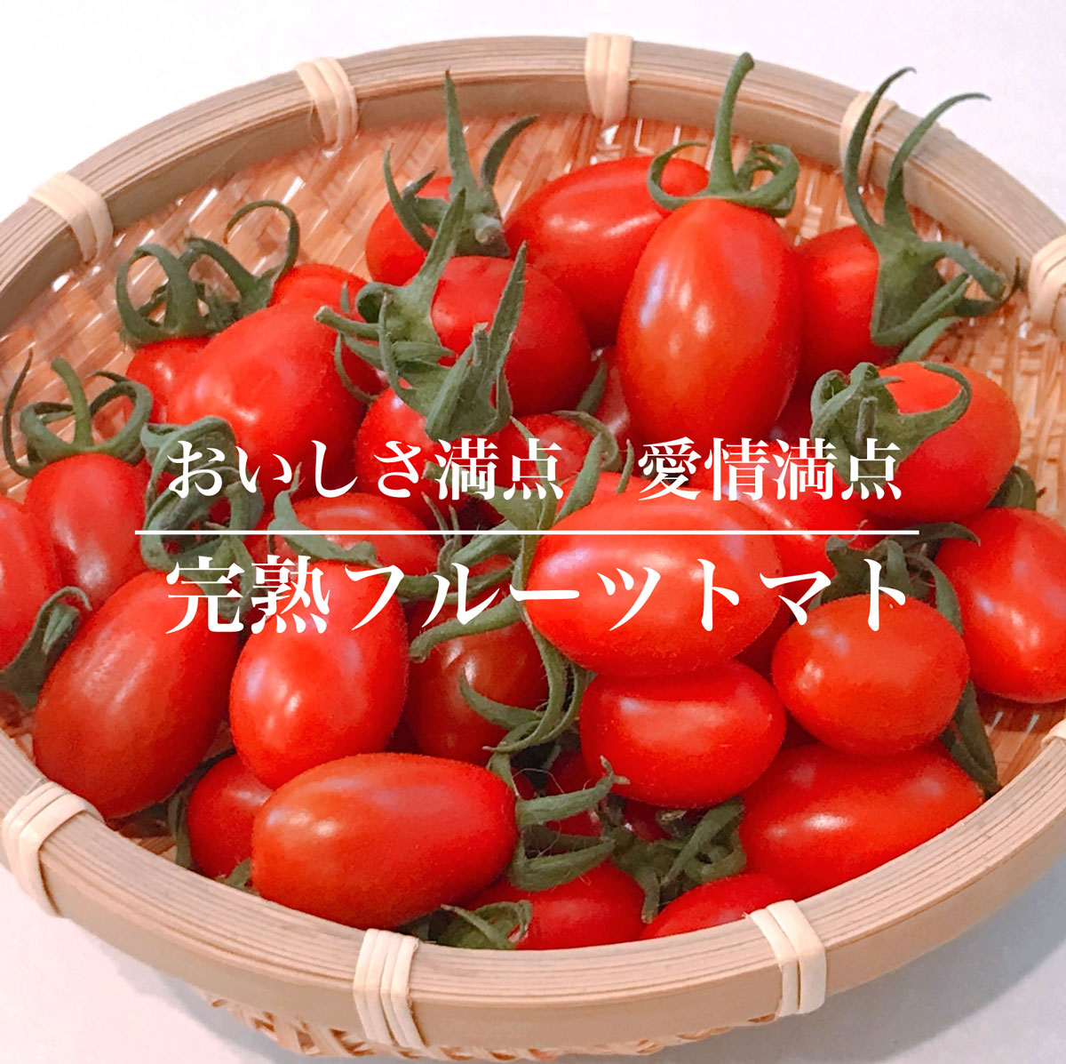 おいしさ満点、愛情満点。完熟フルーツトマト