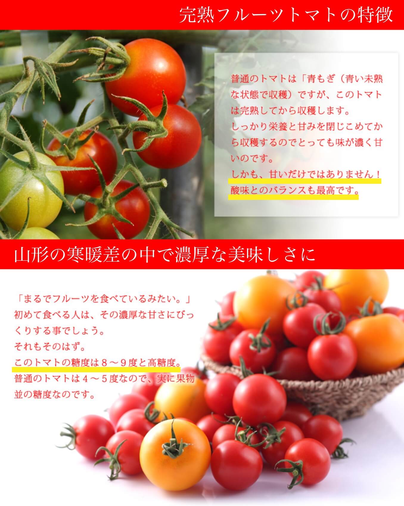 トマト画像023