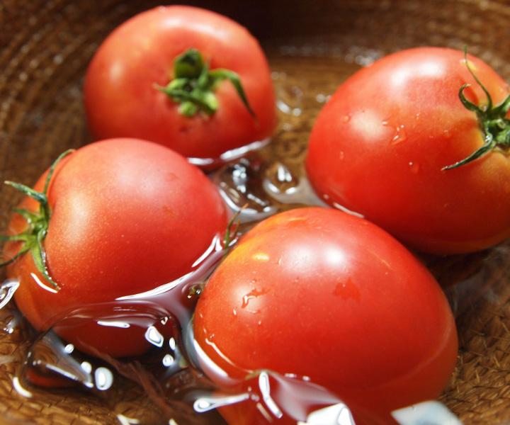 トマト画像