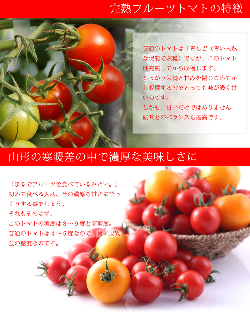 トマト画像023