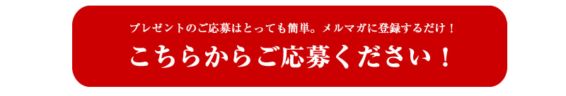 山形牛プレゼント05