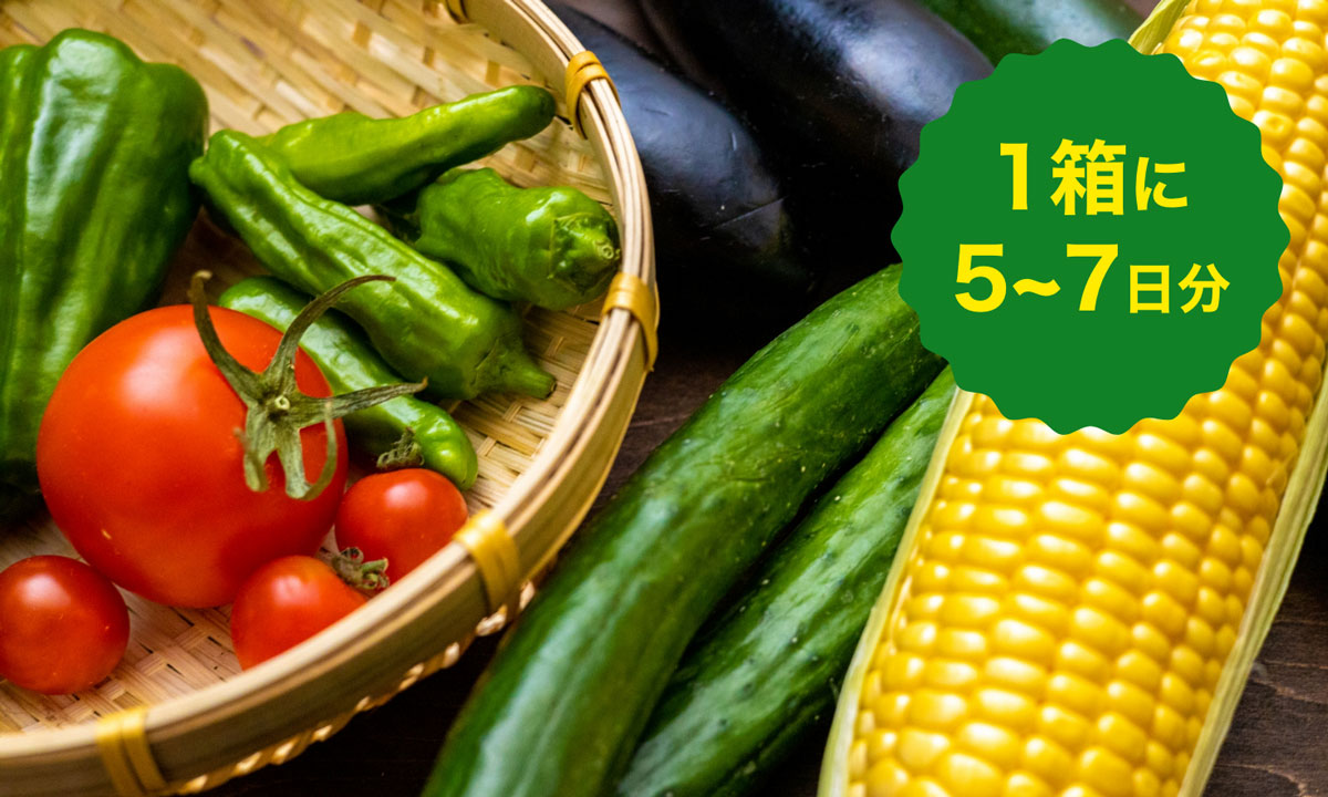 1箱に5〜7日分