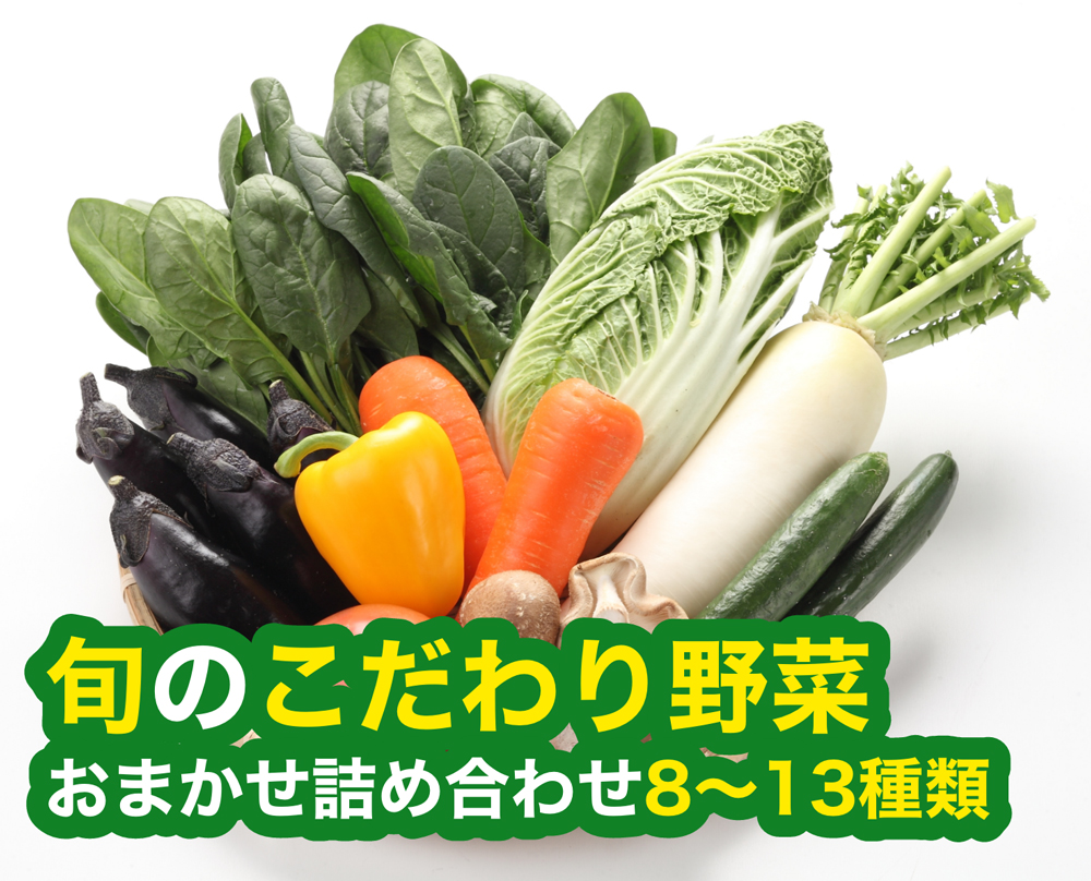旬のこだわり野菜おまかせ詰め合わせ8〜13種類