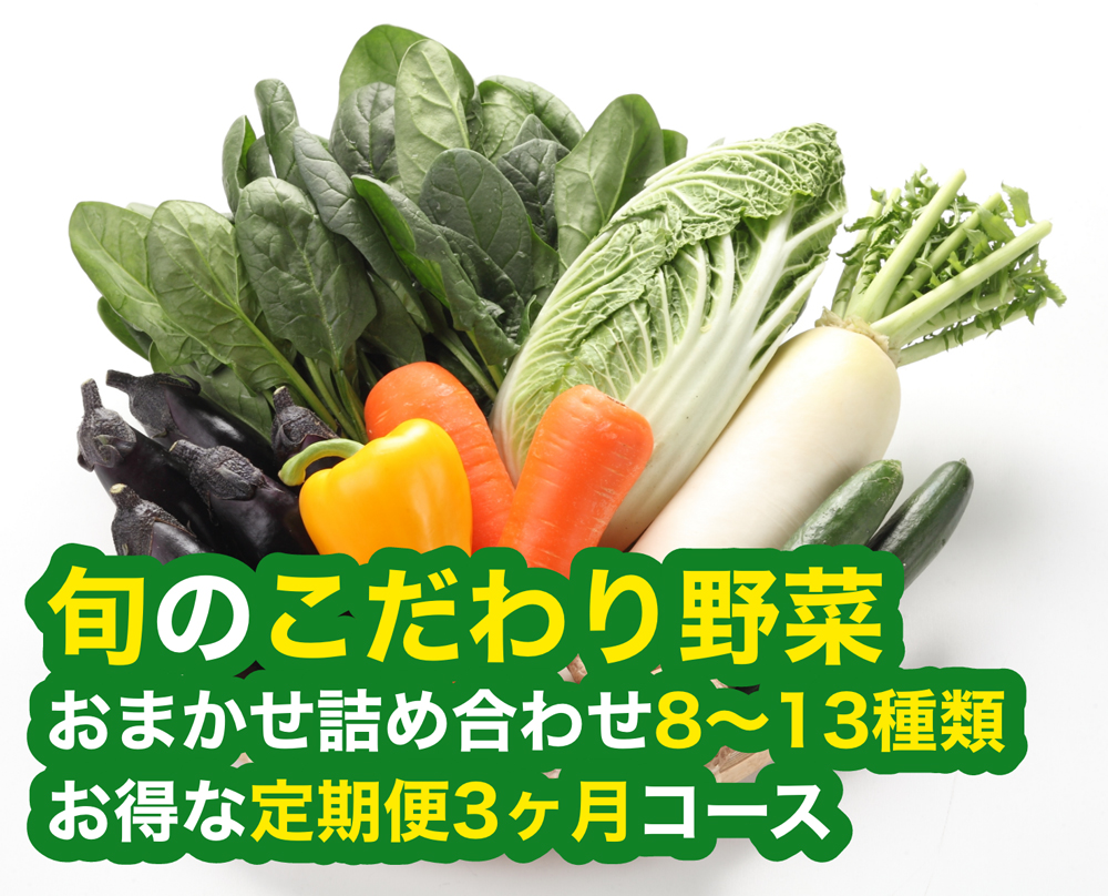 旬のこだわり野菜おまかせ詰め合わせ8〜13種類、お得な定期便3ヶ月コース